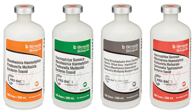 probac family of vaccines